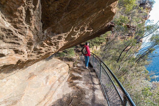 Blue Mountains Deluxe Small-Group Eco Wildlife Tour from Sydney - Mt. Tomah Botanic Gardens