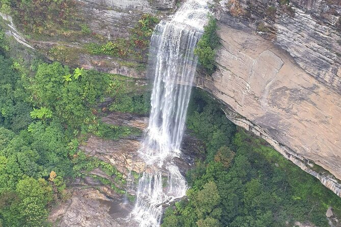 Blue Mountains Express includes Three Sisters Hiking Option - Sydney Zoo adds wildlife before the mountains