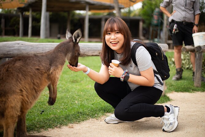 Blue Mountains Express includes Three Sisters Hiking Option - Echo Point and the Three Sisters
