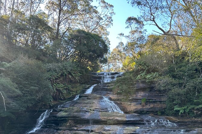 Blue Mountains Full Day Guided Tour - Wildlife and small details you could miss alone
