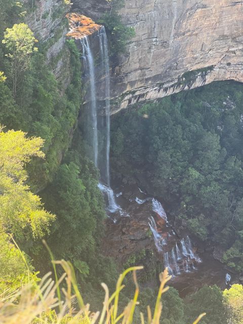 Blue Mountains: Full Day Guided Tour with Lunch - Lunch at a local Blue Mountains cafe