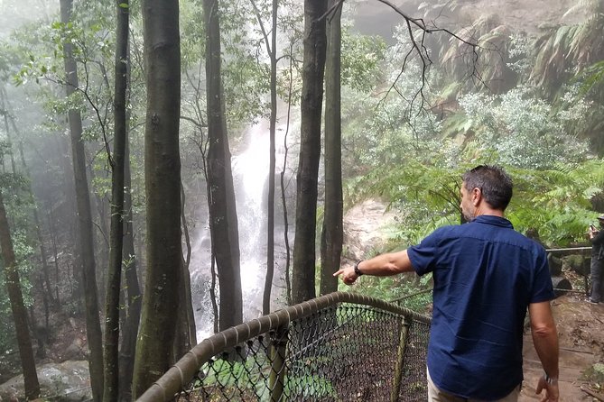 Blue Mountains Highlights, Wildlife Park and Scenic World Full Day Private Tour - A guided walk adds texture beyond the lookouts