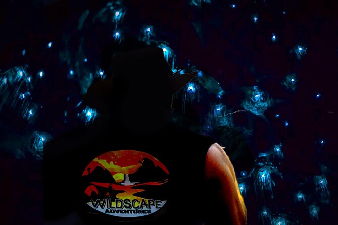 Blue Mountains Hiking Glow worms Cave Wildlife Spotlighting Night Adventure - What happens from the 8 p.m. pickup