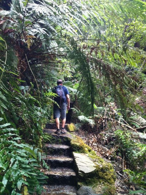 Blue Mountains: Inside a World Heritage National Park - Who will get the most from this outing