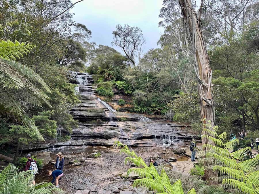 Blue Mountains: Inside a World Heritage National Park - What the 10-hour schedule feels like