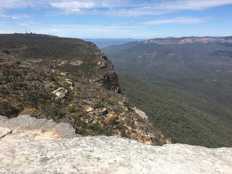 Blue Mountains: Inside a World Heritage National Park - Featherdale brings Australian animals within arm’s reach