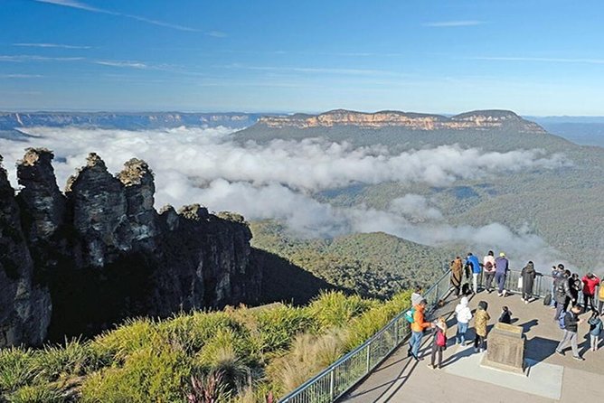 Blue Mountains | Koalas, Kangaroos & Bondi Beach Private Tour - Key points to know before booking