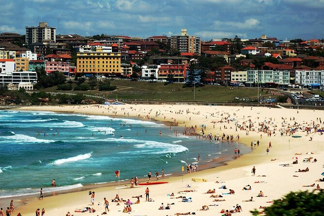 Blue Mountains | Koalas, Kangaroos & Bondi Beach Private Tour - Why this private Blue Mountains day works