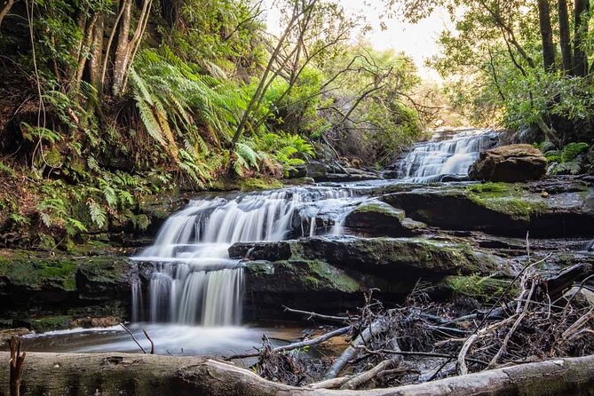 Blue Mountains Luxury Tour from Sydney - Scenic World: four attractions, one extra cost