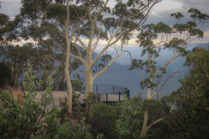 Blue Mountains Private Charter - Starting at Wentworth Falls