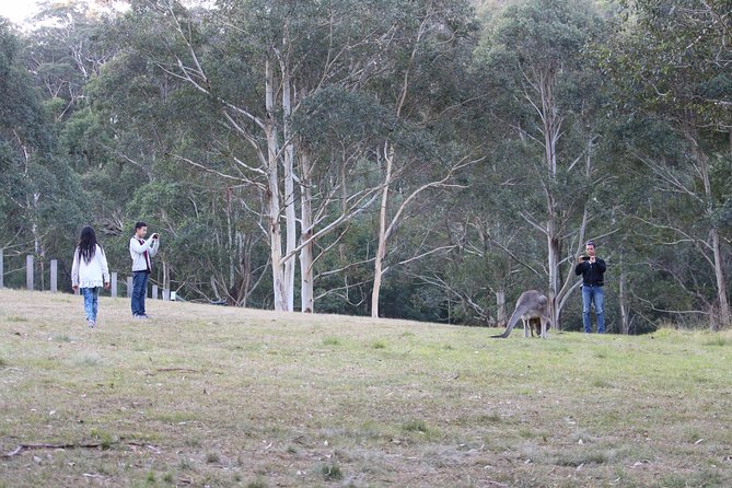 Blue Mountains Private Charter - Wildlife searches and outdoor interests