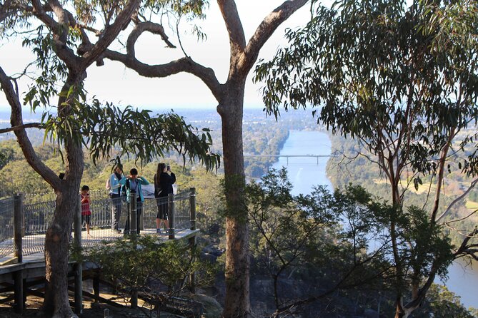 Blue Mountains Private Charter - Timing, lunch, and extra costs