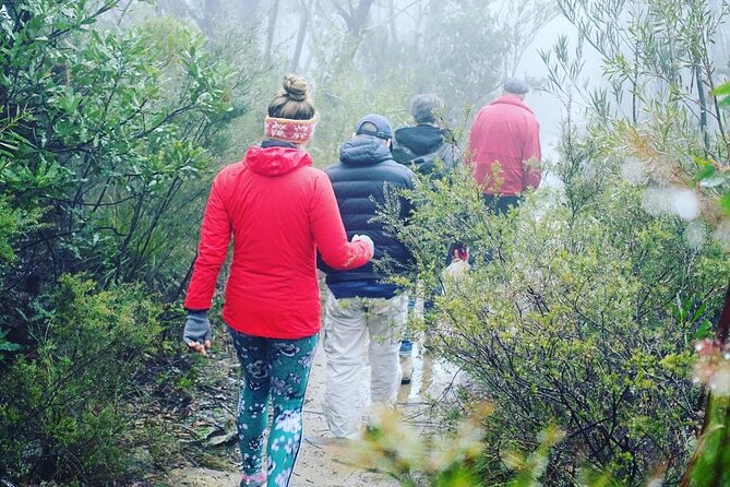Blue Mountains Private Hiking Tour from Sydney - Megalong Valley changes the pace