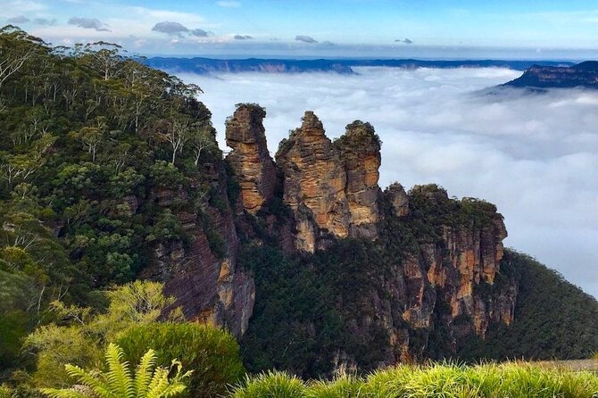 Blue Mountains Private Hiking Tour from Sydney - Dryridge Estate finishes the day with local wine