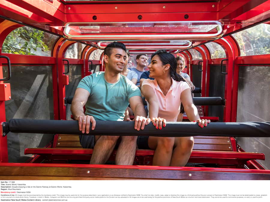 Blue Mountains: Private Scenic Tour with Optional Stops - Scenic World: railway, Skyway, Cableway, and rainforest