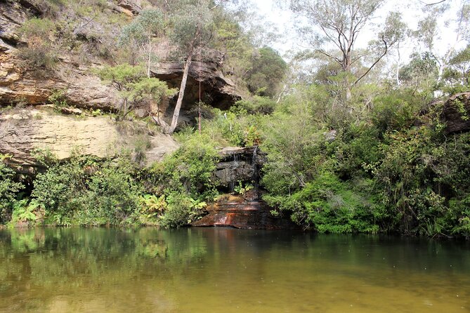 Blue Mountains Private Tour - From Sydney to the sandstone plateau
