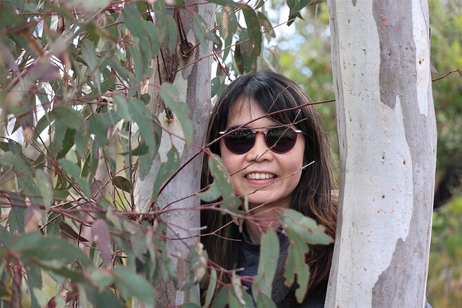 Blue Mountains Private Tour - Leura and the walking choices