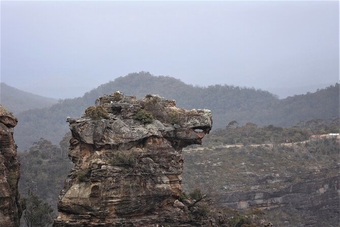 Blue Mountains Private Tour - Boar’s Head and a final valley panorama