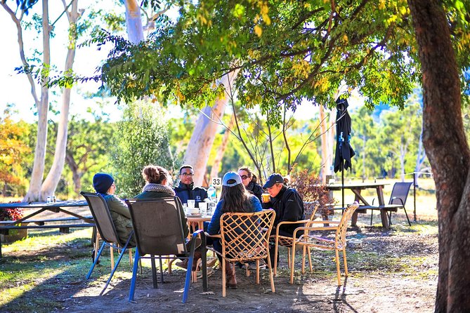 Blue Mountains Private Tour from Sydney - Wentworth Falls and the walking question