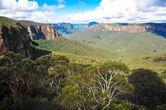 Blue Mountains Private Tour from Sydney - What the private format really gives you