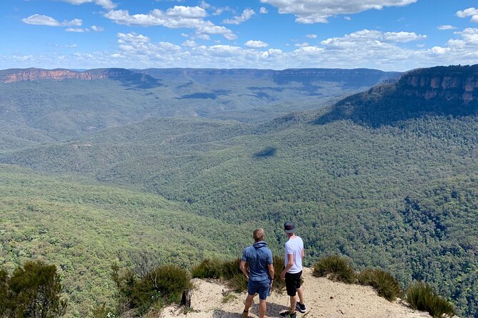Blue Mountains Private Tour From Sydney, & Featherdale Aussie Animal Park Option - Key points at a glance