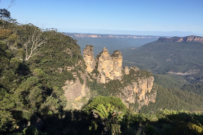 Blue Mountains Private Tour From Sydney, & Featherdale Aussie Animal Park Option - A private start across Sydney Harbour