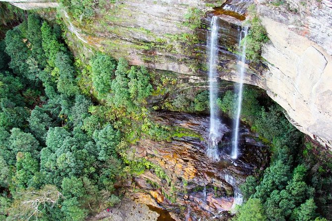 Blue Mountains Private Tour including Wildlife Park - How the private guiding changes the experience