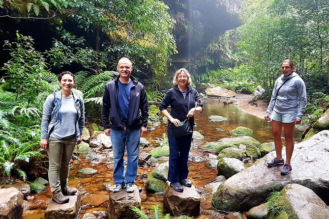 Blue Mountains Private Tour including Wildlife Park - Sublime Point opens the Jamison Valley