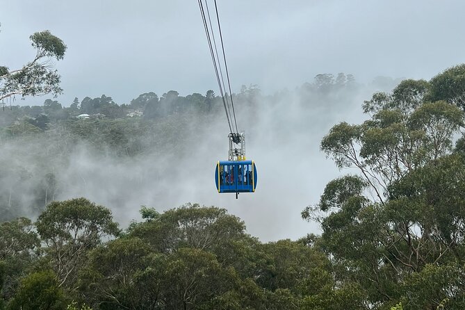 Blue Mountains Private Tour & Scenic World Included - Key points to know before you book
