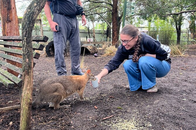 Blue Mountains Private Tour & Scenic World Included - Echo Point gives you the classic Blue Mountains view