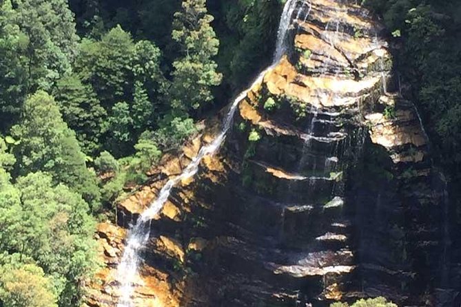 Blue Mountains Private Tour with Kangaroo and Koala Experience - Scenic World is tempting, but it changes the budget