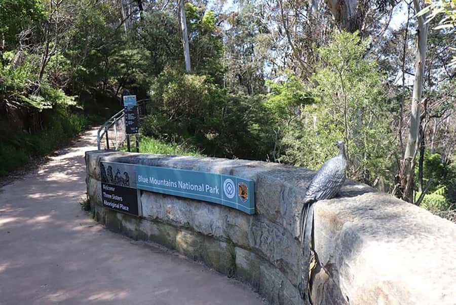 Blue Mountains: Private Tour with Wildlife and River Cruise - The ferry return to Sydney