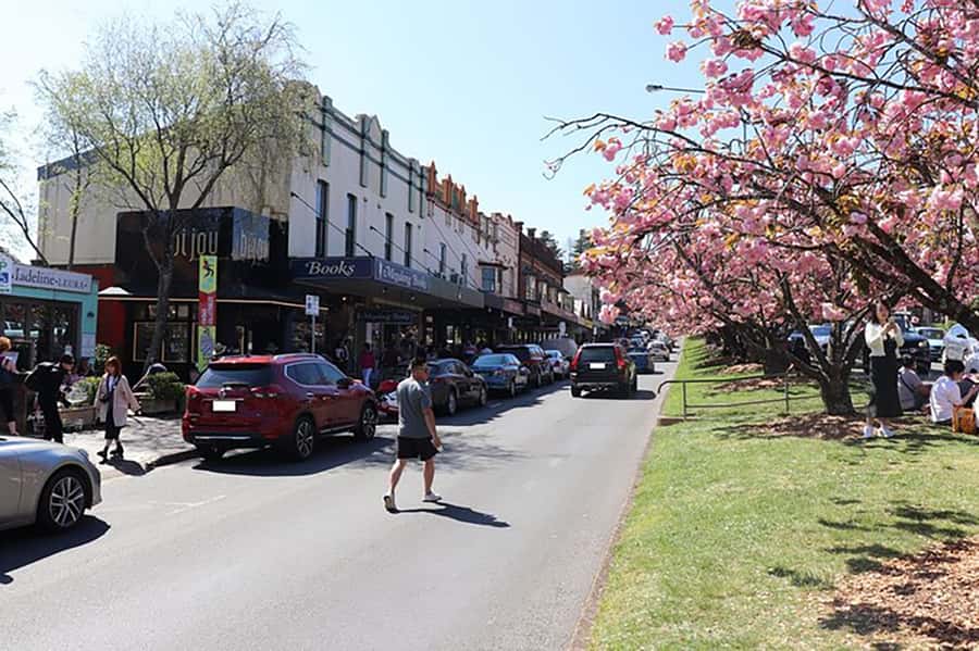 Blue Mountains: Private Tour with Wildlife and River Cruise - Who should book this Blue Mountains day?