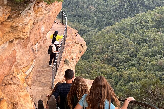 Blue Mountains Private Tours Sydney Zoo or Scenic world Options - Why a private Blue Mountains day can work so well