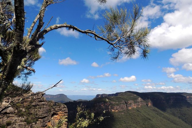 Blue Mountains Small-Group Insider Tour from Sydney - Featherdale starts the day with Australian wildlife