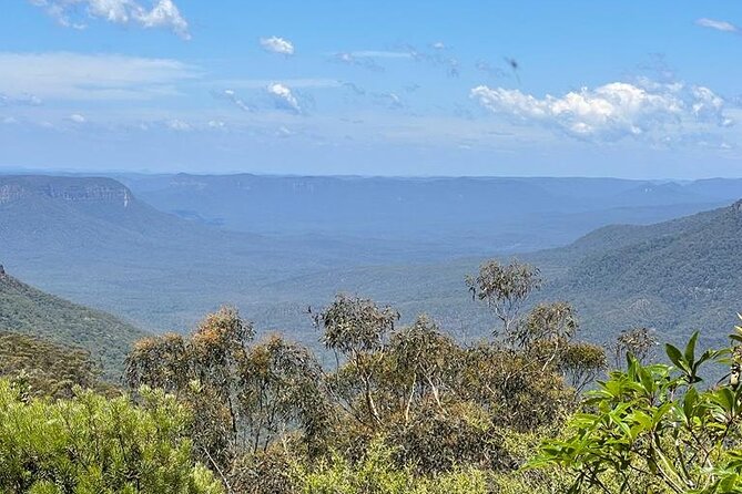 Blue Mountains Small Group Tour w/optional Scenic World & Lunch - Is the $135.56 price good value?