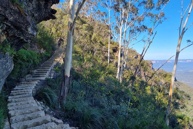 Blue Mountains Small Group Tour with Lunch, Zoo and Scenic World - Scenic World brings the most activity