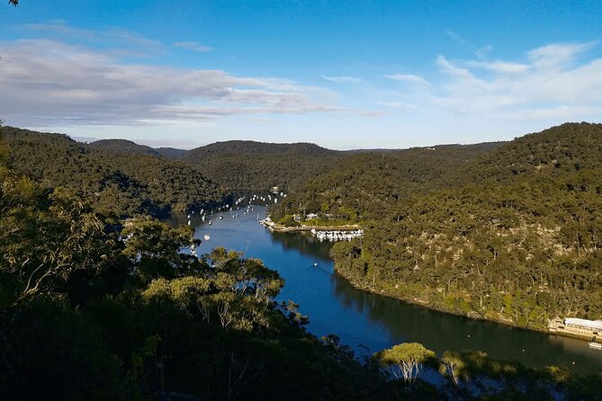 Blue Mountains Small Group Tour with Lunch, Zoo and Scenic World - The guides can make or break the pace