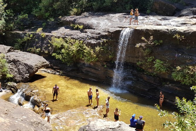 Blue Mountains Small Group Tour with Waterfall Walk & Fresh Lunch - Lookouts, birdlife, and the flexible route