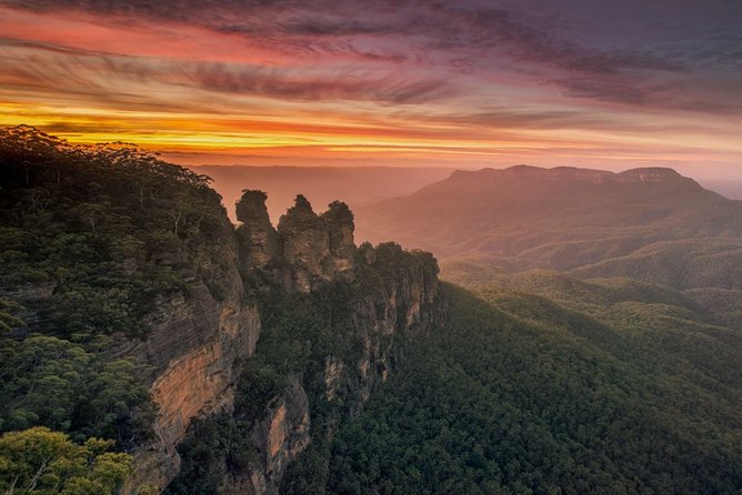 Blue Mountains Sunset Tour | See Kangaroos & Koalas (Private Tour) - Featherdale Wildlife Park: one hour with Australian animals