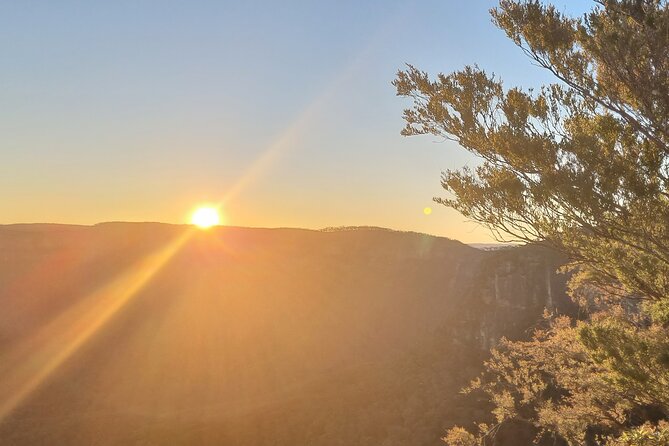 Blue Mountains Sunset Tour | See Kangaroos & Koalas (Private Tour) - Is $591.73 per person good value?