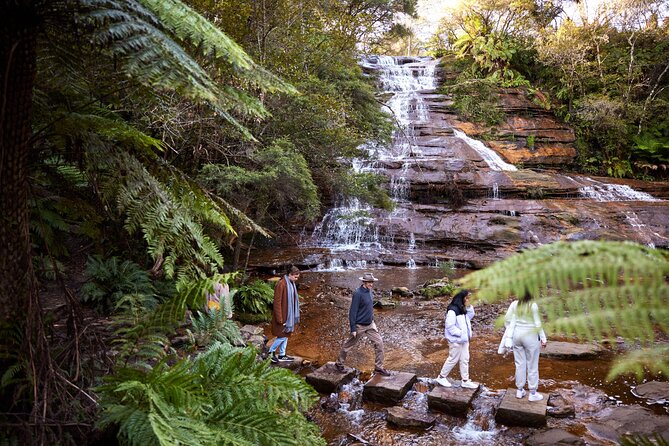Blue Mountains Sunset Tour with Kangaroo Sightings from Sydney - Wentworth Falls is the day’s real workout