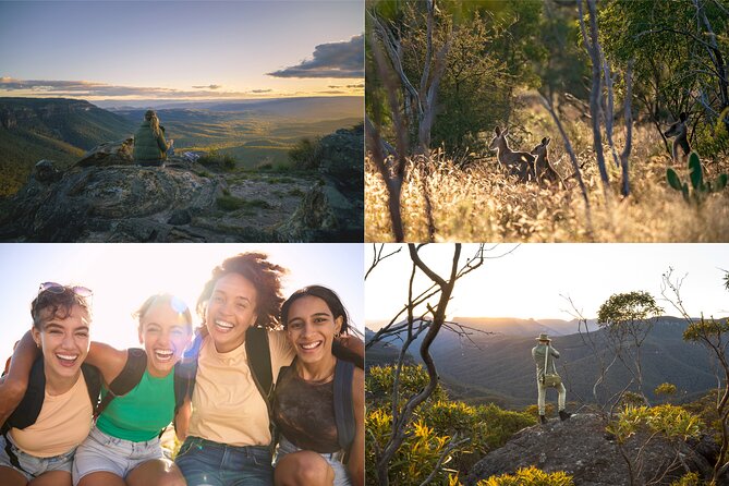 Blue Mountains Sunset Tour with Kangaroo Sightings from Sydney - Is $104 good value?