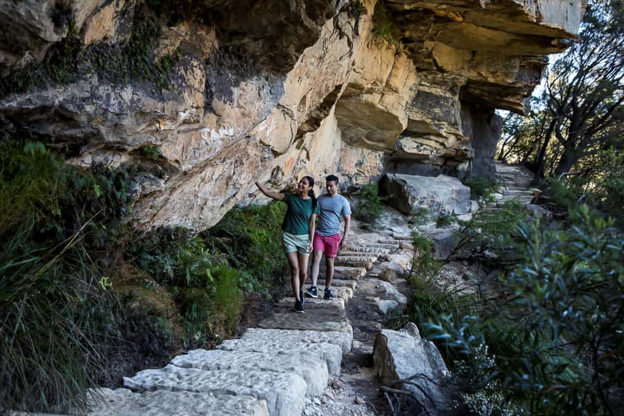 Blue Mountains Sunset Waterfalls Wildlife Tour From Sydney - Who should book this Blue Mountains trip