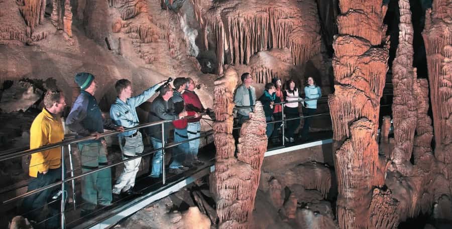 Blue Mountains Tour from Sydney - Full Day Private Tours - Scenic World, with an important warning