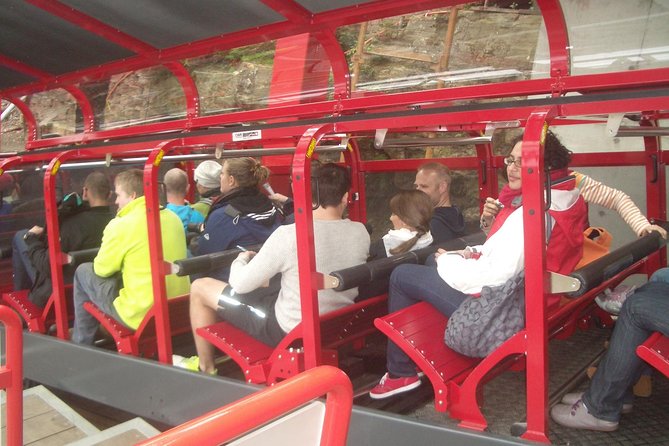 Blue Mountains Tour PRIVATE with Wildlife Park and River Cruise - Scenic World is worth considering, but budget for it