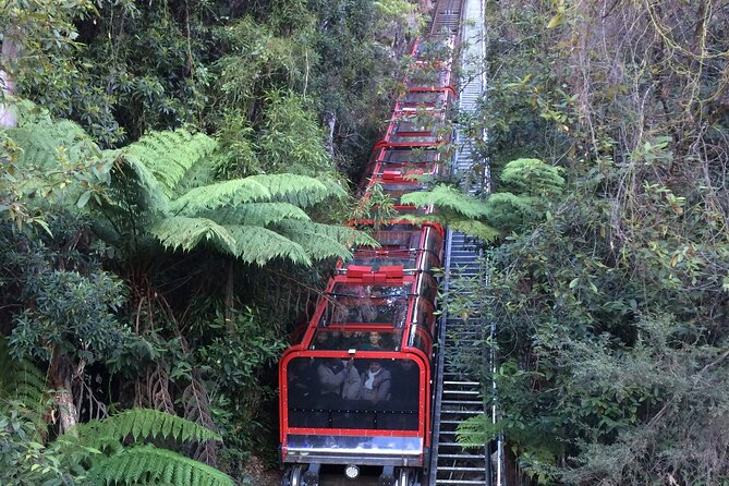 Blue Mountains Tour PRIVATE with Wildlife Park and River Cruise - Wildlife time with koalas and kangaroos