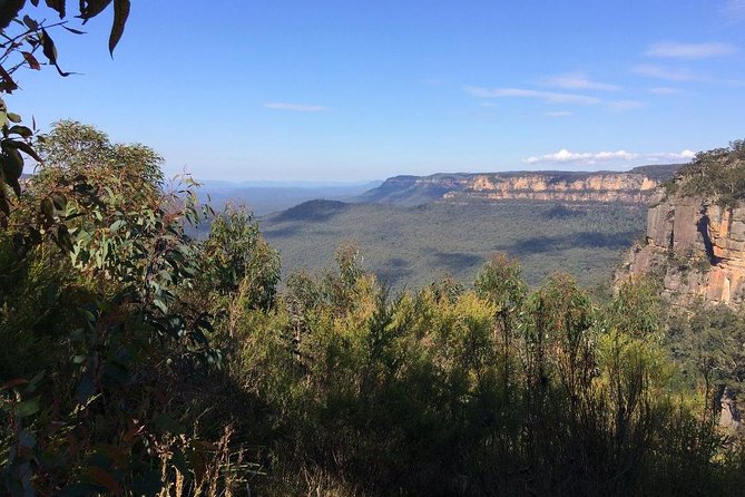 Blue Mountains Tour PRIVATE with Wildlife Park and River Cruise - What the $394.48 price gets you