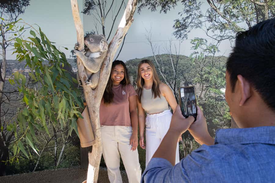Blue Mountains Tour w/Lunch: Scenic World, Zoo & Koala Photo - A full Blue Mountains day without the driving work