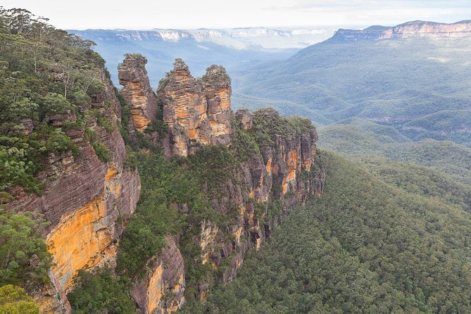 Blue Mountains Ultimate One-Day Tour from Sydney - Featherdale Wildlife Park and Australia’s familiar animals